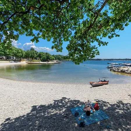 Grey Fuskulin Comfortable * Poreč